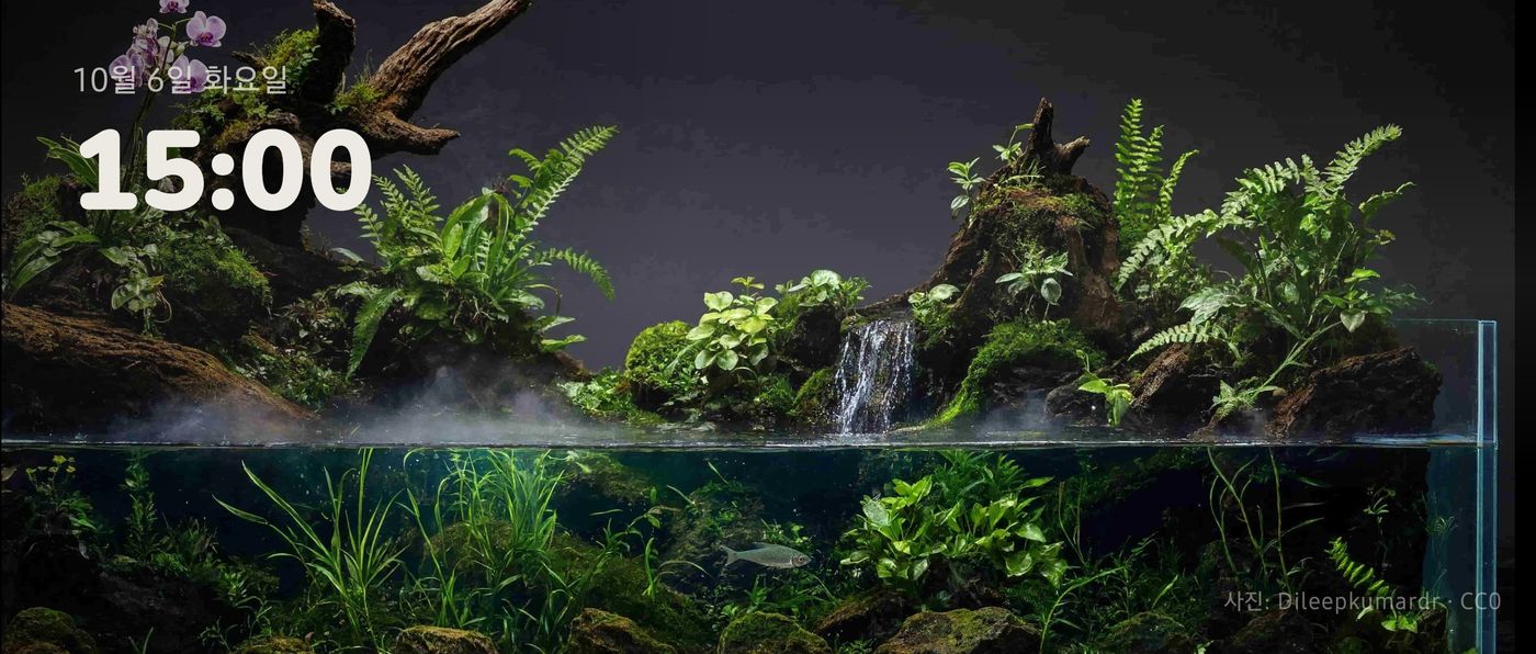 테라리움 영상 위에 시각이 표시된 쉼 화면